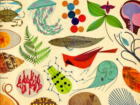 Charles Charley Harper Illustrations - Giant Golden Book of Biology