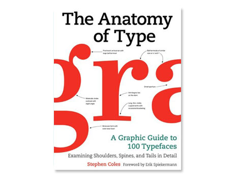 the anatomy of type