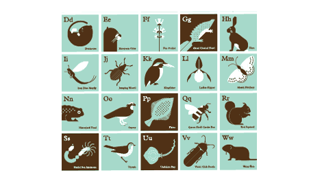 alphabet of endangered species in the british isles