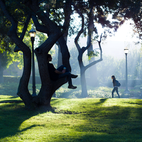 university of california